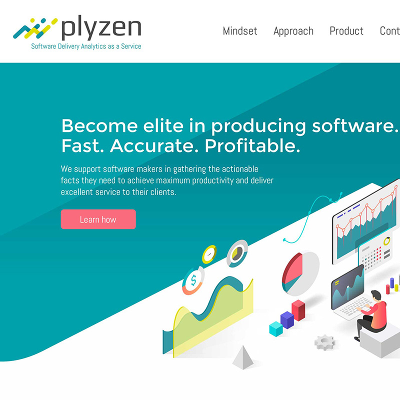 Plyzen Logo und Website